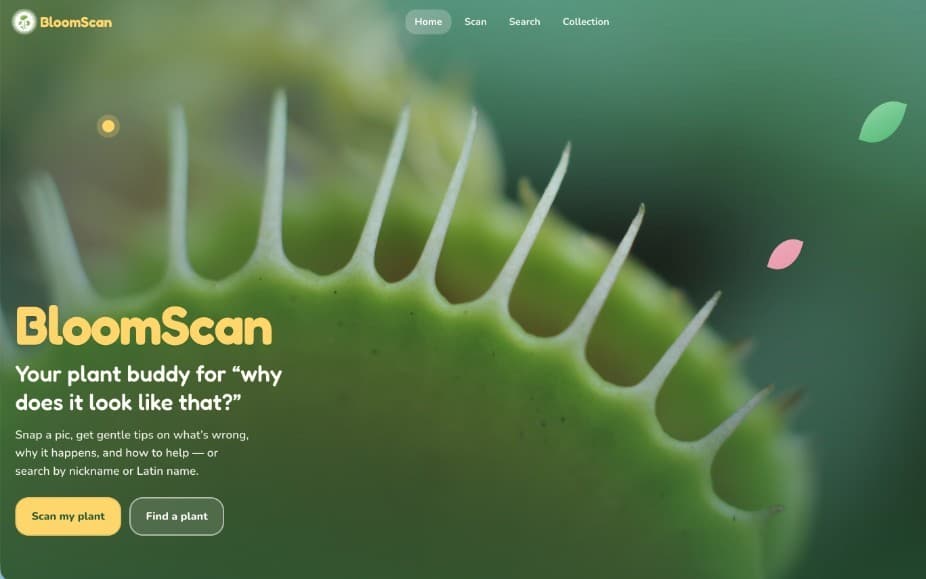 BloomScan