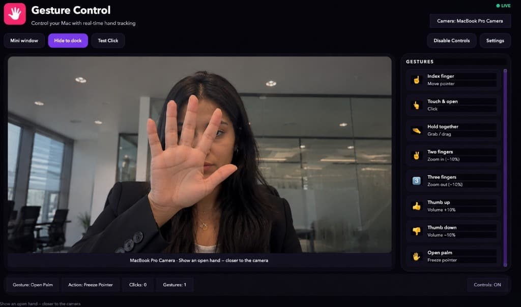 Gesture Control