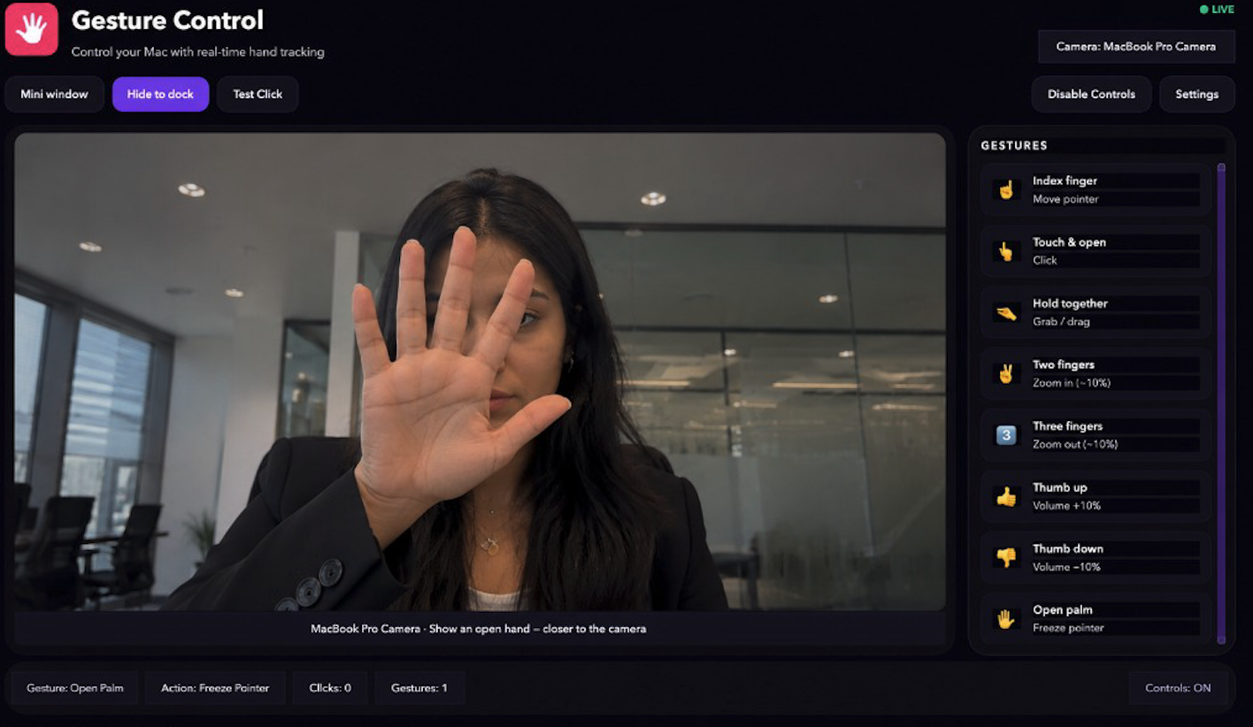 Gesture Control